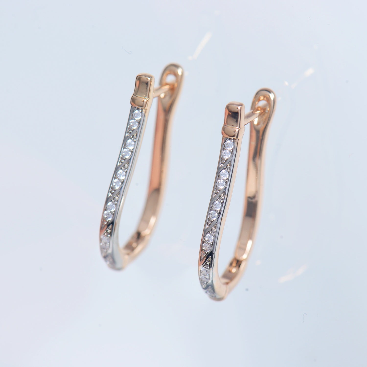 Classic Hoop earrings